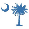 Palmetto Roofers