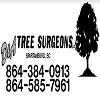 D & A Tree Surgeons